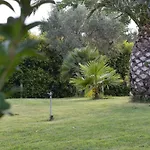Cassiodoro *