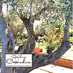 Tatil Evi Cassiodoro