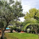 Cassiodoro Tatil Evi *