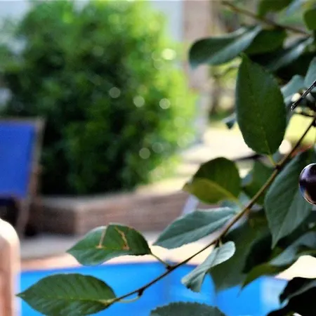 Holiday home Cassiodoro *