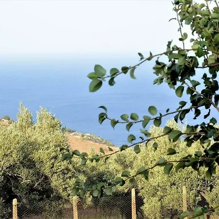 Holiday home Cassiodoro