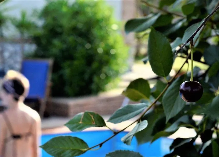 度假居 Cassiodoro *