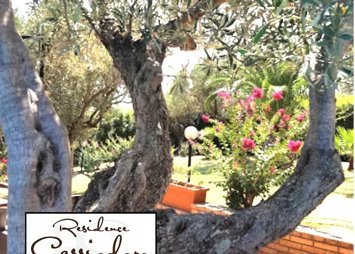 度假居 Cassiodoro