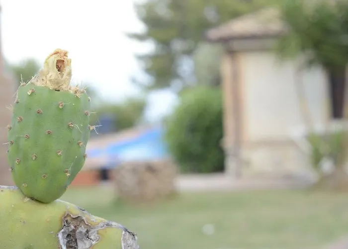 Cassiodoro * 斯塔拉帝