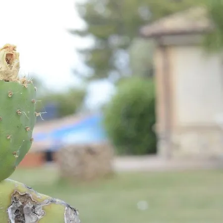 Cassiodoro * Stalettì