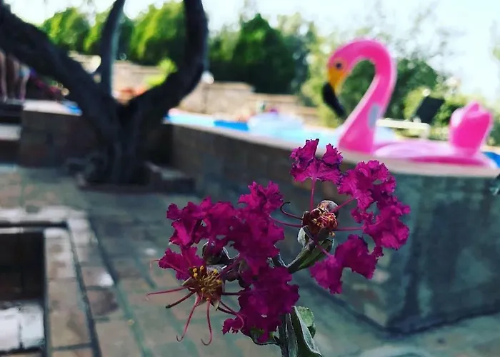 Cassiodoro * Stalettì